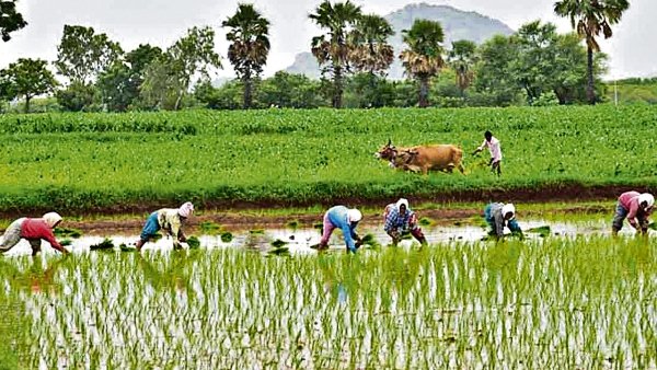 రైతు భీమా బంద్ - మారిన ప్రభుత్వ నిర్ణయం...!!